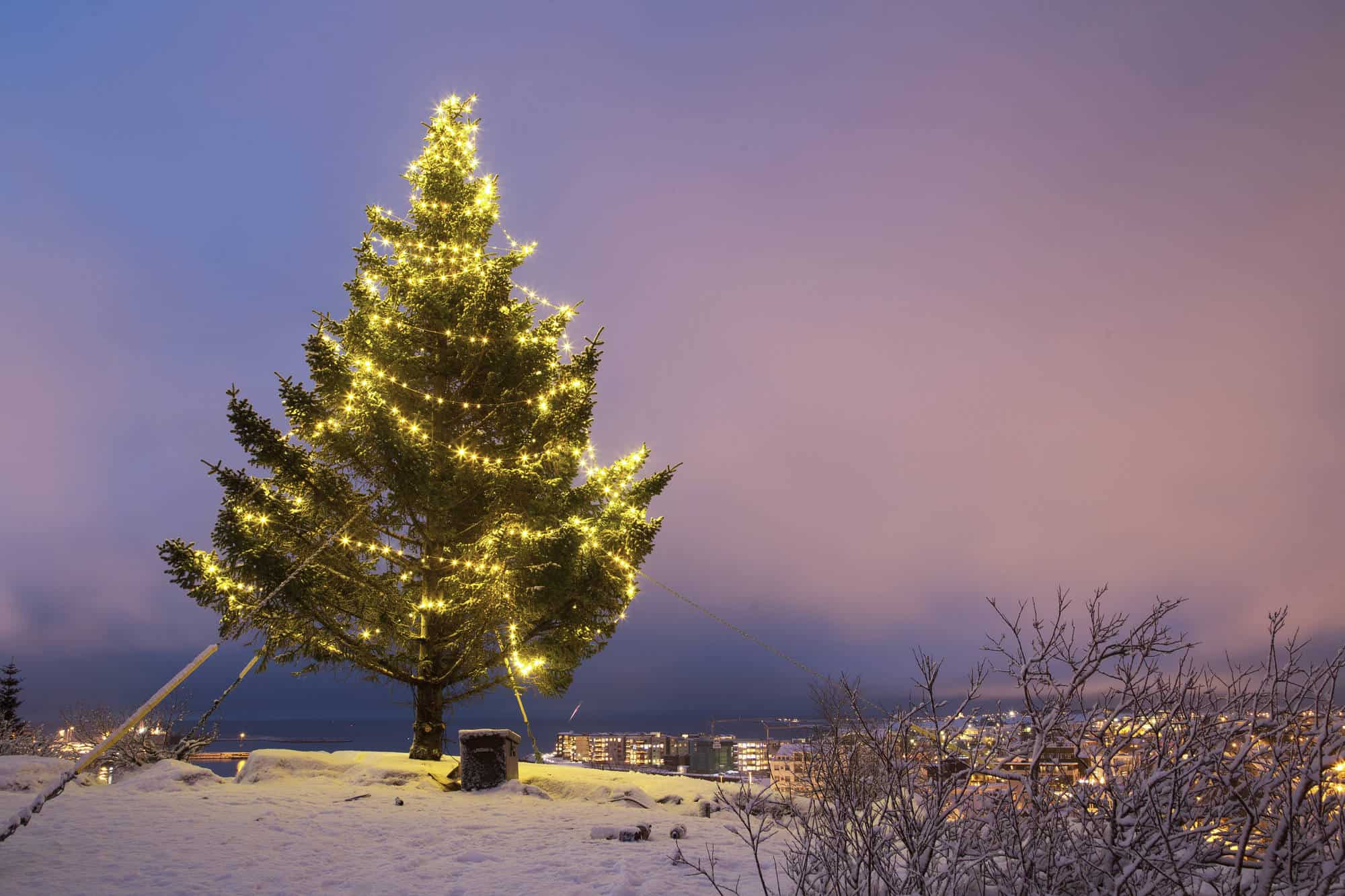 Icelandic Festivals, Celebrations & Events | Iceland Travel